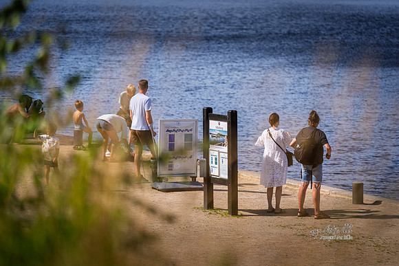 Hjejlen-web- Fotograf Per Bille-20260730-AAA05248
