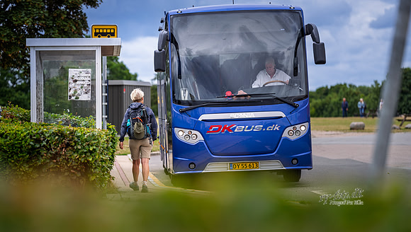 modstrømsbus-web- Fotograf Per Bille-20260728-AAA05207