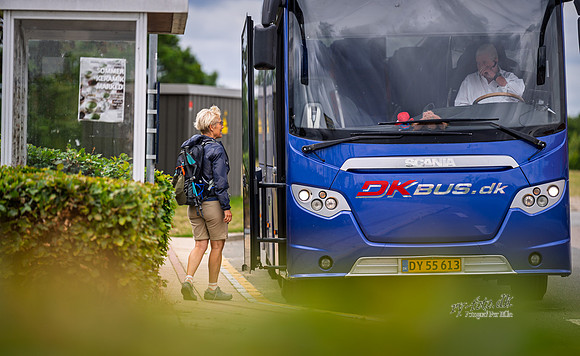modstrømsbus-web- Fotograf Per Bille-20260728-AAA05216