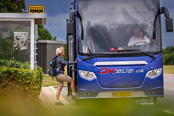 modstrømsbus-web- Fotograf Per Bille-20260728-AAA05229