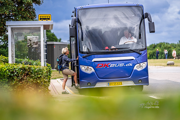 modstrømsbus-web- Fotograf Per Bille-20260728-AAA05236