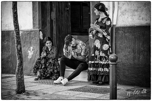 Flamenco-web - Fotograf Per Bille-20211012-DSC07408-Edit