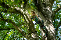 ACTING FOR CLIMATE - Øster anlæg-web- Fotograf Per Bille-20260822-AAA08530