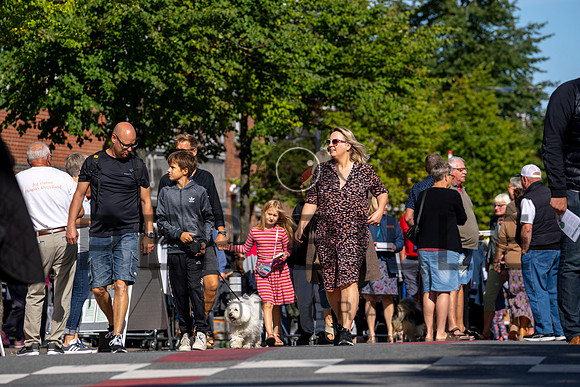 Markedsdag, Skanderborg City- web- Fotograf Per Bille-20210904-DSC06123