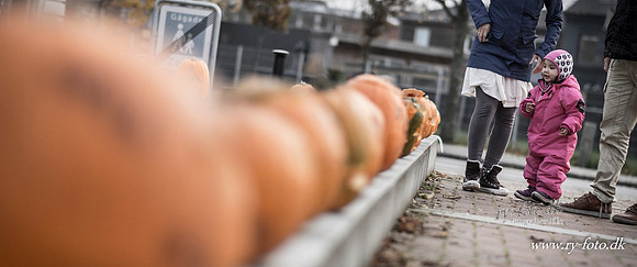 Ry Halloween - Fotograf Per Bille-20151029-0006