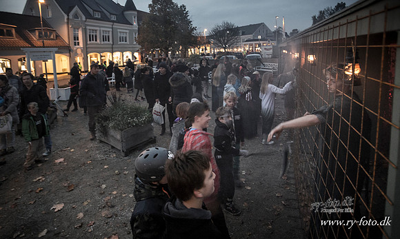 Ry Halloween - Fotograf Per Bille-20151029-8272