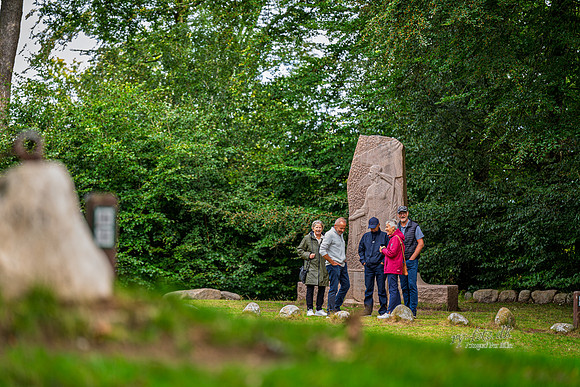 Himmelbjerg-web- Fotograf Per Bille-20260906-DSC01016