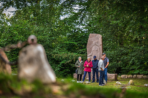 Himmelbjerg-web- Fotograf Per Bille-20260906-DSC01022