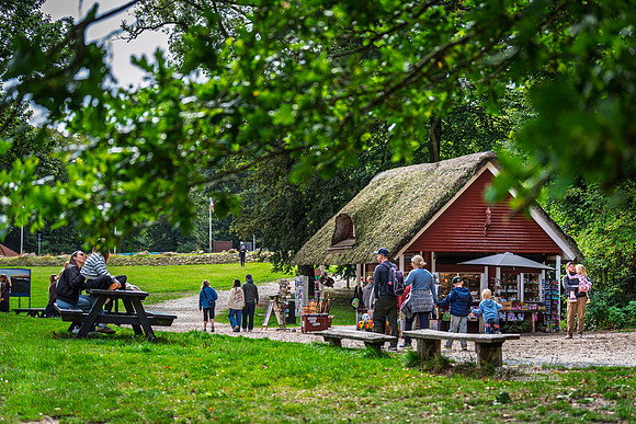 Himmelbjerg-web- Fotograf Per Bille-20260906-DSC01032