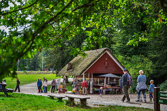Himmelbjerg-web- Fotograf Per Bille-20260906-DSC01030