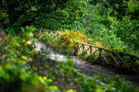 Himmelbjerg-web- Fotograf Per Bille-20260906-DSC01094