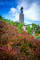 Himmelbjerg-web- Fotograf Per Bille-20260906-DSC01168