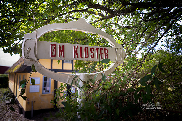 Munke, Øm Kloster-web- Fotograf Per Bille-20260906-DSC00590