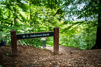 Himmelbjerg-web- Fotograf Per Bille-20260906-DSC01185