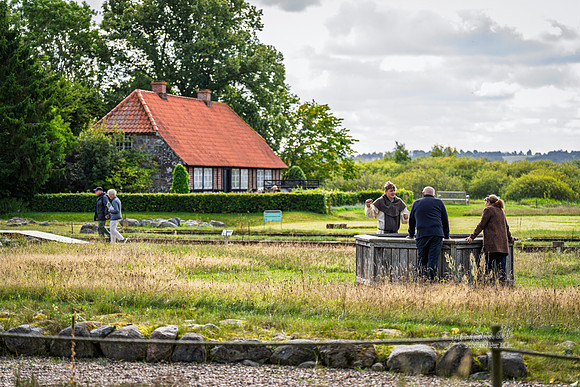 Munke, Øm Kloster-web- Fotograf Per Bille-20260906-DSC00721