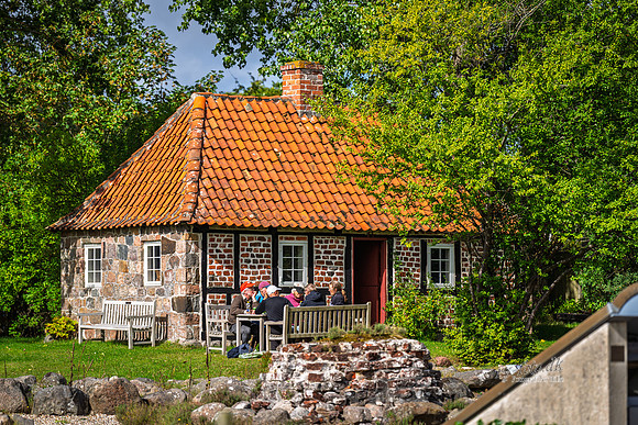 Munke, Øm Kloster-web- Fotograf Per Bille-20260906-DSC00784