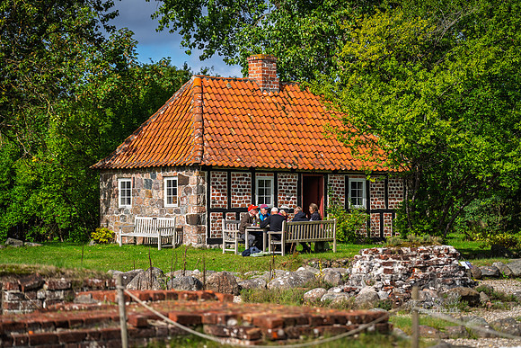 Munke, Øm Kloster-web- Fotograf Per Bille-20260906-DSC00786