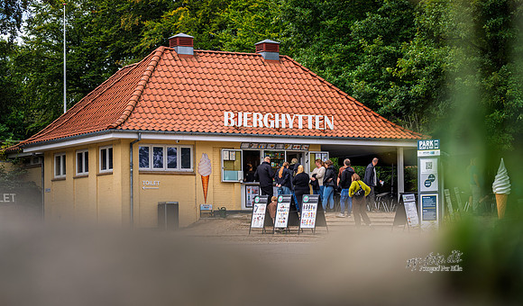 Bjerghytten, Himmelbjerg-web- Fotograf Per Bille-20260906-DSC00995