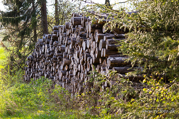 natur-8518