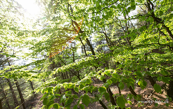 natur-8540