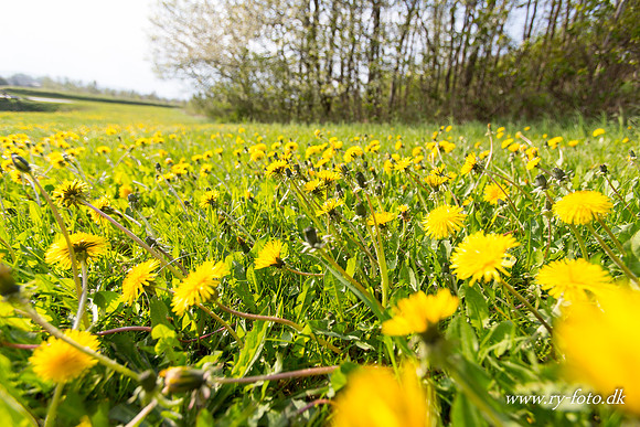 natur-8550
