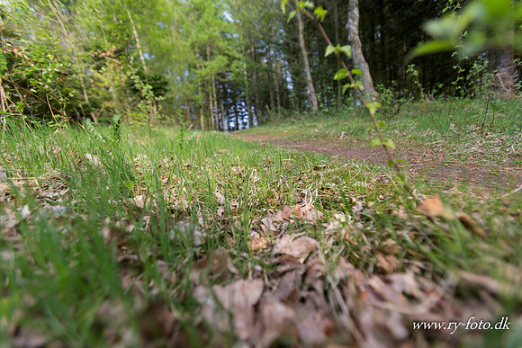 natur-8604