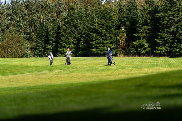 Efterår - Golf-print-Fotograf Per Bille-20240929DSC08642