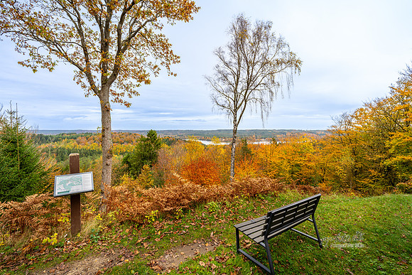 Store Knøs-print-Fotograf Per Bille 20251028-AAA05060