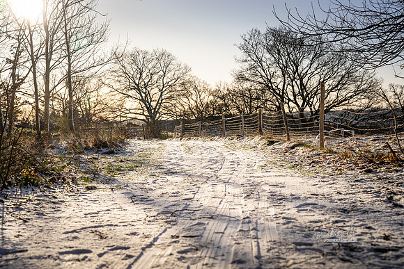 Vinter Galjebakken-web-Fotograf Per Bille-20250103AAA06093