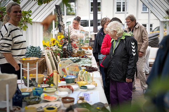 Flok-Web-Fotograf Per Bille-20260911DSC01219