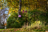 Efterår - Knudsø skolen-web-Fotograf Per Bille-20241102DSC03676