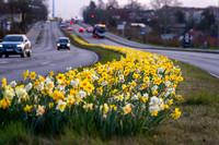 Skanderborg-web-fotograf Per Bille-20250407AAA06343