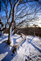 Vinter Galjebakken-web-Fotograf Per Bille-20250103AAA06113
