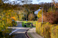 Efterår - Låsby-print-Fotograf Per Bille-20241102DSC03690