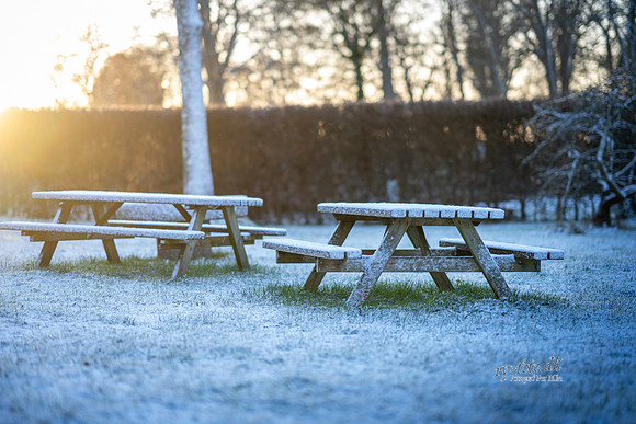 Vinter Ry-web-Fotograf Per Bille-20250103AAA05978