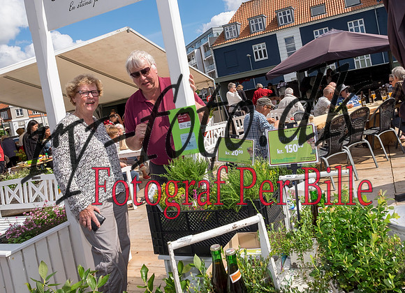 Sommermarked -20150801-3058