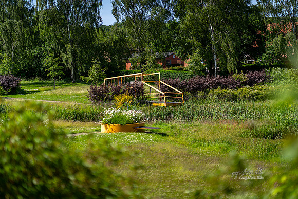 Låsby Søpark-web - Fotograf Per Bille-20250613-AAA06701