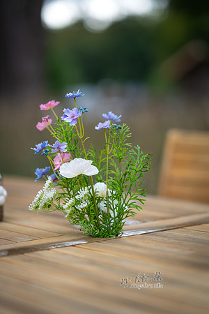 Flok-Web-Fotograf Per Bille-20260911AAA09631