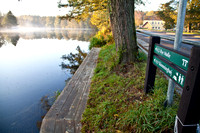 efterår-9746