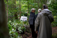Flok-Web-Fotograf Per Bille-20260911AAA09684