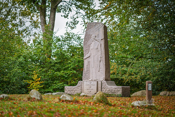 Himmelbjerg-web- Fotograf Per Bille-20261017-AAA03562