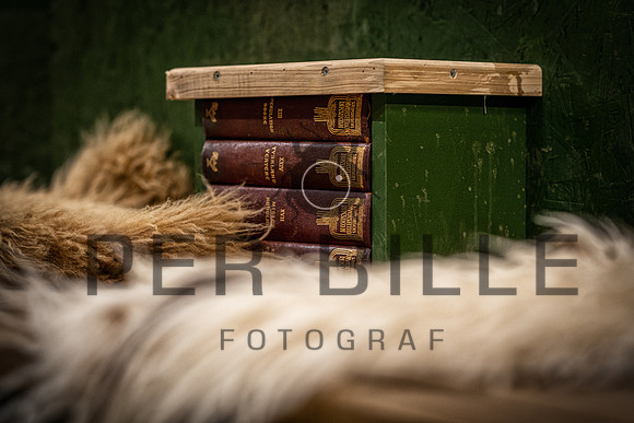Silkeborg Forsyning-web - Fotograf_Per_Bille-20230524DSC02468-Edit