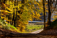 Efterår - Ravnsø-web-Fotograf Per Bille-20241102DSC03696