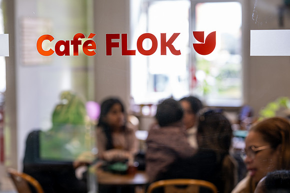 Flok 1 år-web-fotograf Per Bille-20250504DSC02273