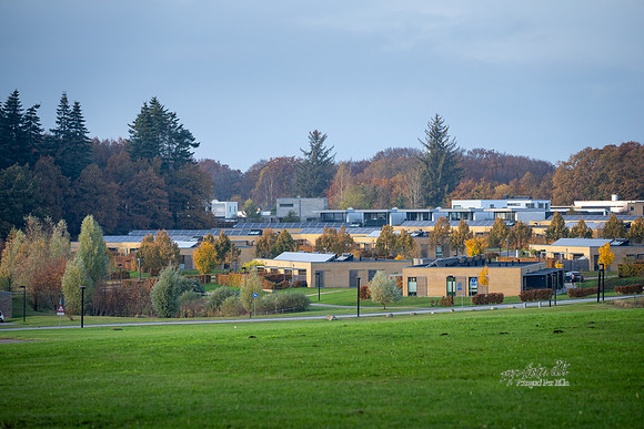 Kildebjerg, Ry-web - Fotograf Per Bille-20211102-DSC03960