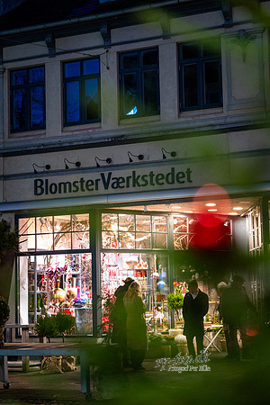 -web-Fotograf Per Bille-20241214DSC03221