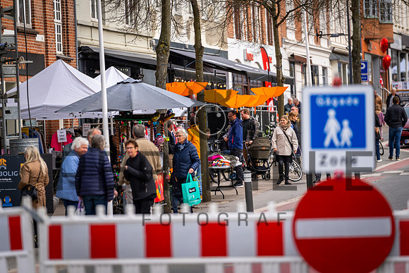 LYS NAT-web - Fotograf_Per_Bille-20230428DSC03509