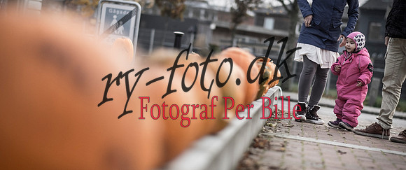 Halloween-20151029-0006