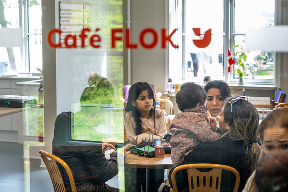 Flok 1 år-web-fotograf Per Bille-20250504DSC02278