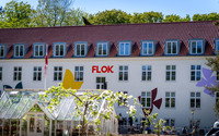 Flok - Fødselsdag-web- Fotograf Per Bille-20260508-AAA09271